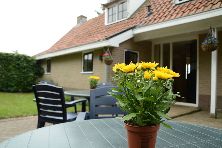 \'t Haske \'t Haske