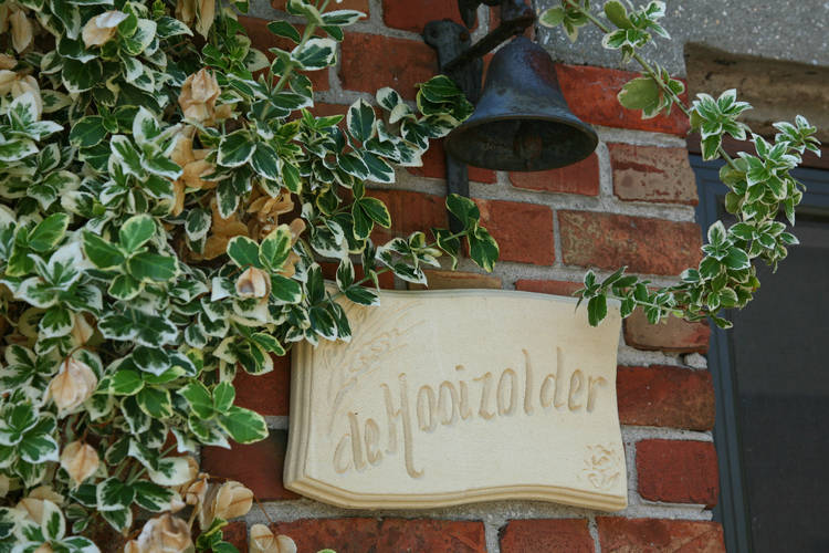 Biezenpolder Biezenpolder