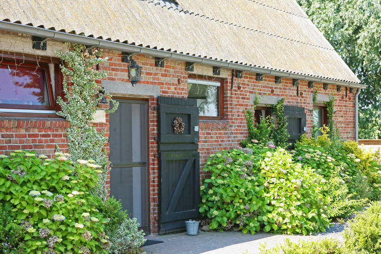 Biezenpolder Biezenpolder