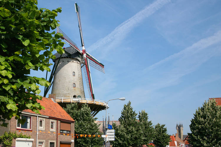 Biezenpolder Biezenpolder
