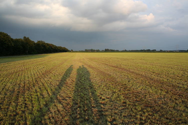 Buitenplaats Berg en Bos Buitenplaats Berg en Bos