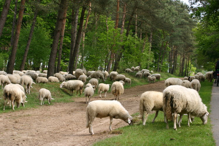 Buitenplaats Berg en Bos Buitenplaats Berg en Bos