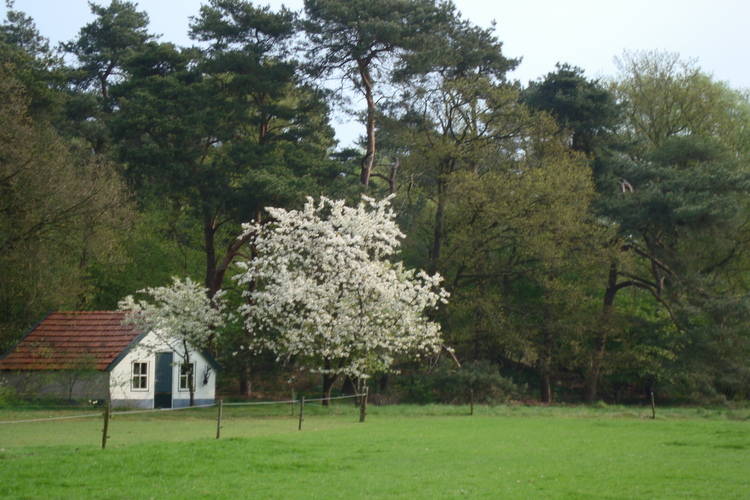 Buitenplaats Berg en Bos Buitenplaats Berg en Bos