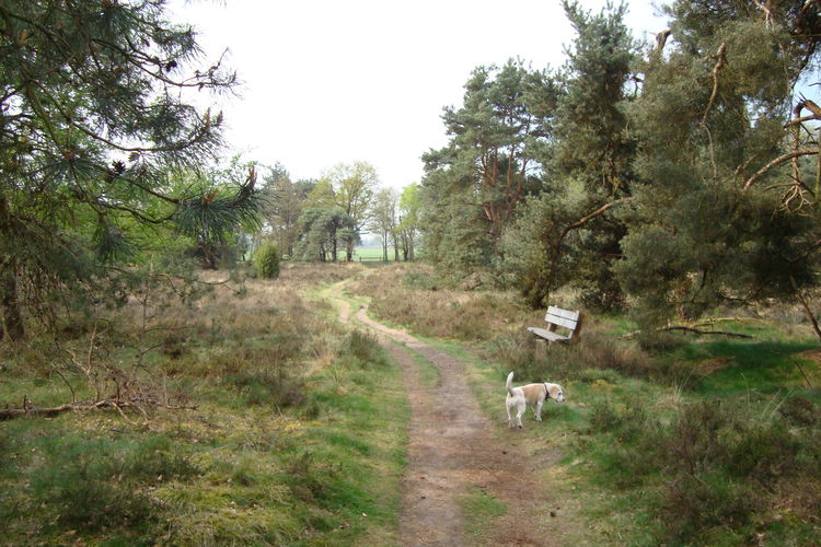 Buitenplaats Berg en Bos Buitenplaats Berg en Bos