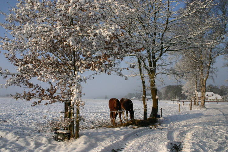 Buitenplaats Berg en Bos Buitenplaats Berg en Bos
