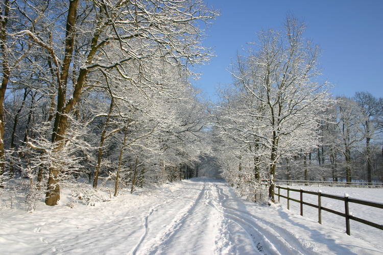 Buitenplaats Berg en Bos Buitenplaats Berg en Bos