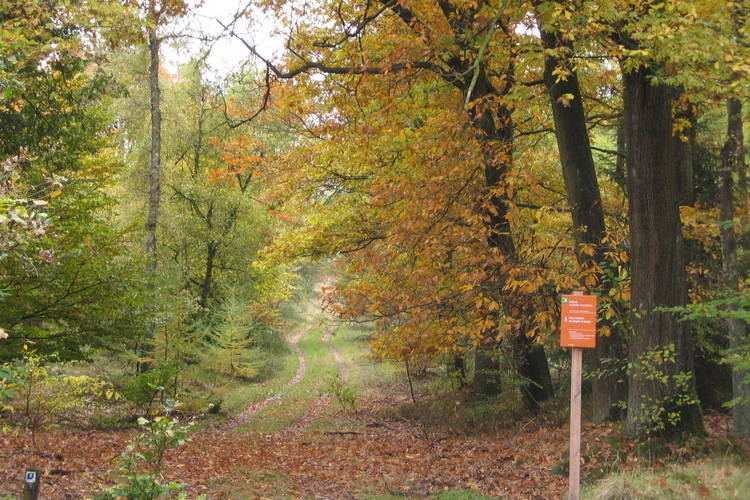 Bungalowpark Hoenderloo Bungalowpark Hoenderloo