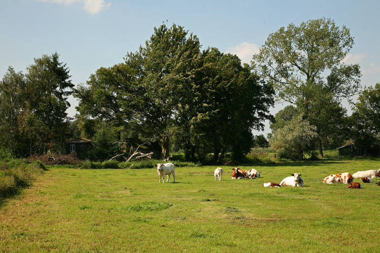 De Grenswachter Â’t Woonhuus De Grenswachter Â’t Woonhuus