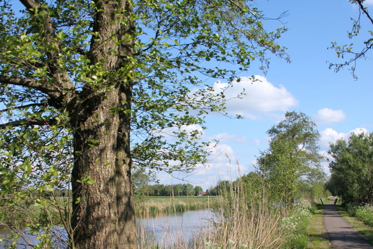 Het Bosmeer Het Bosmeer