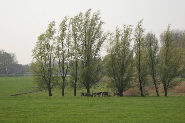 Hoeve Hoogst Tevreden Hoeve Hoogst Tevreden