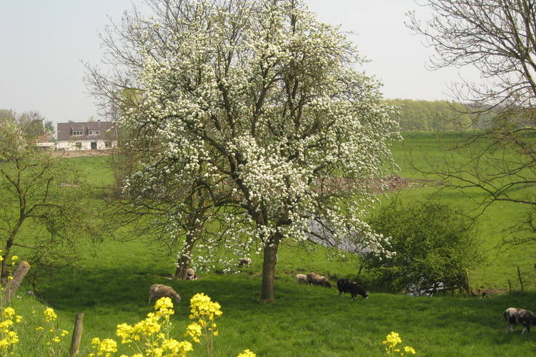 Hoeve Hoogst Tevreden Hoeve Hoogst Tevreden