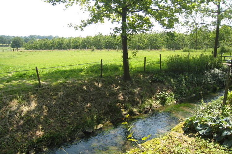 Meschermolen Meschermolen