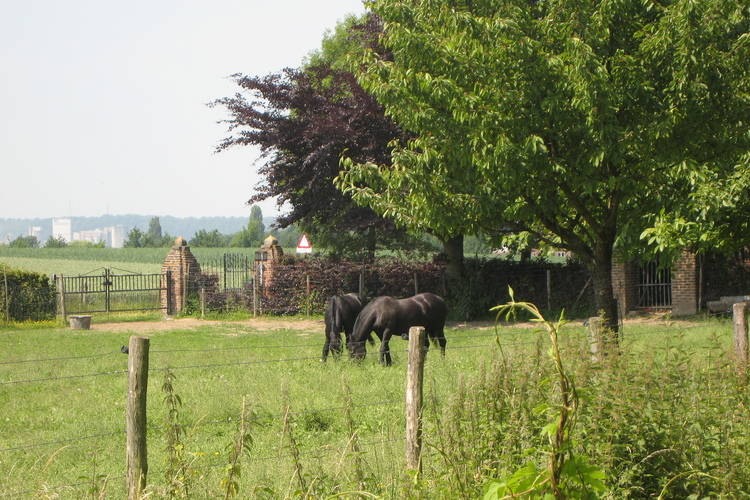 Meschermolen Meschermolen