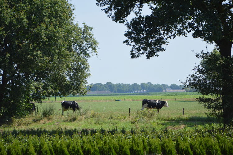 \'t Krampven \'t Krampven