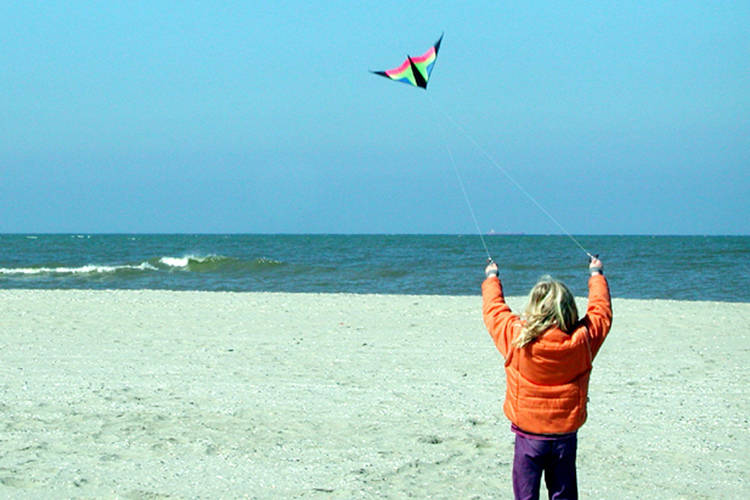 Vakantiepark Vlugtenburg aan Zee Vakantiepark Vlugtenburg aan Zee