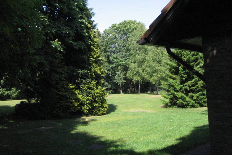 Vogelnestje Vogelnestje
