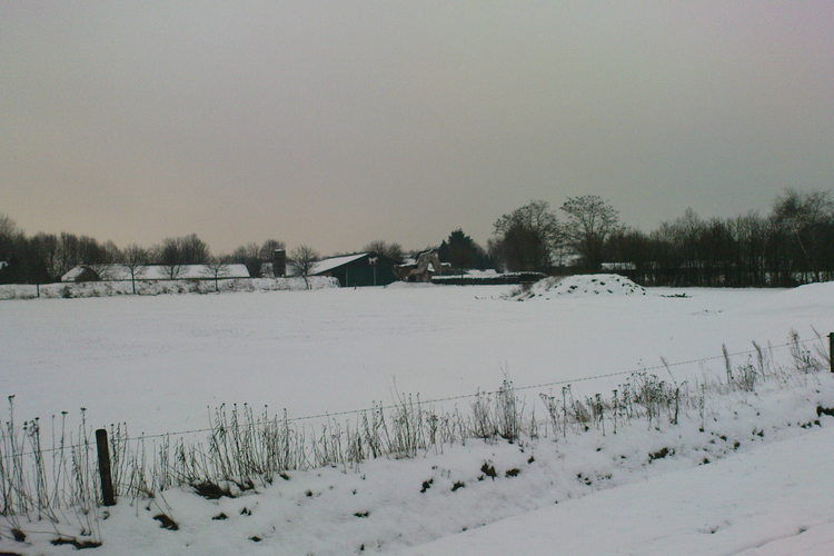 Wijsthoeve Wijsthoeve