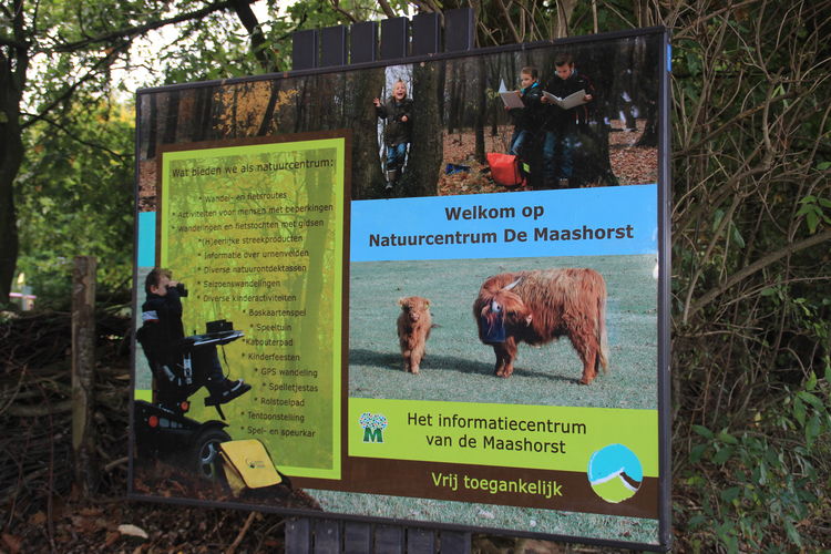 Wijsthoeve Wijsthoeve