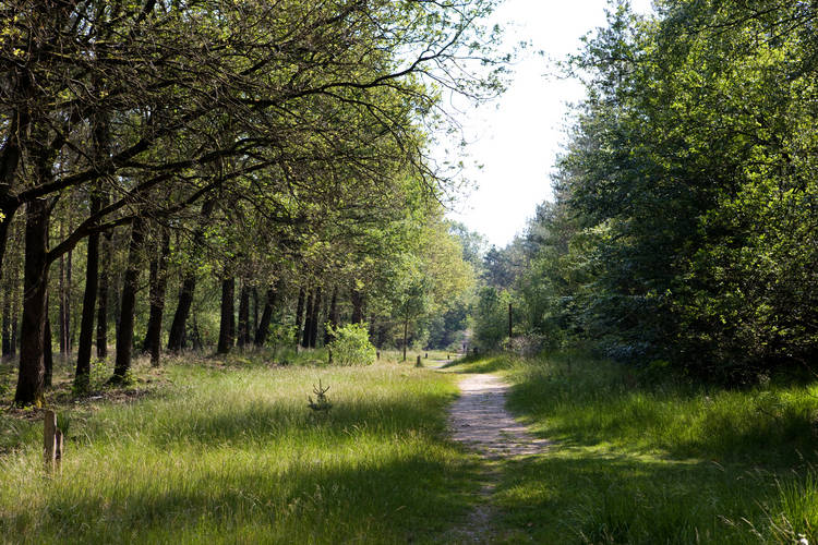 Bungalowpark Hoenderloo