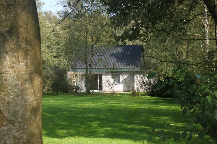 Het Bosmeer Het Bosmeer