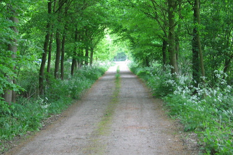 Landgoed Pijnenburg - De Beuk Landgoed Pijnenburg - De Beuk